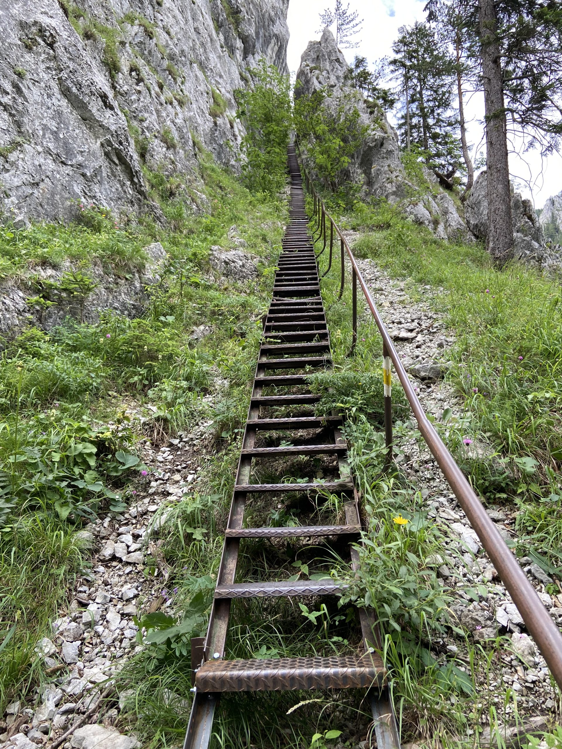 Długie stalowe schody na podjeściu do ferrat w Dolinie Hollental
