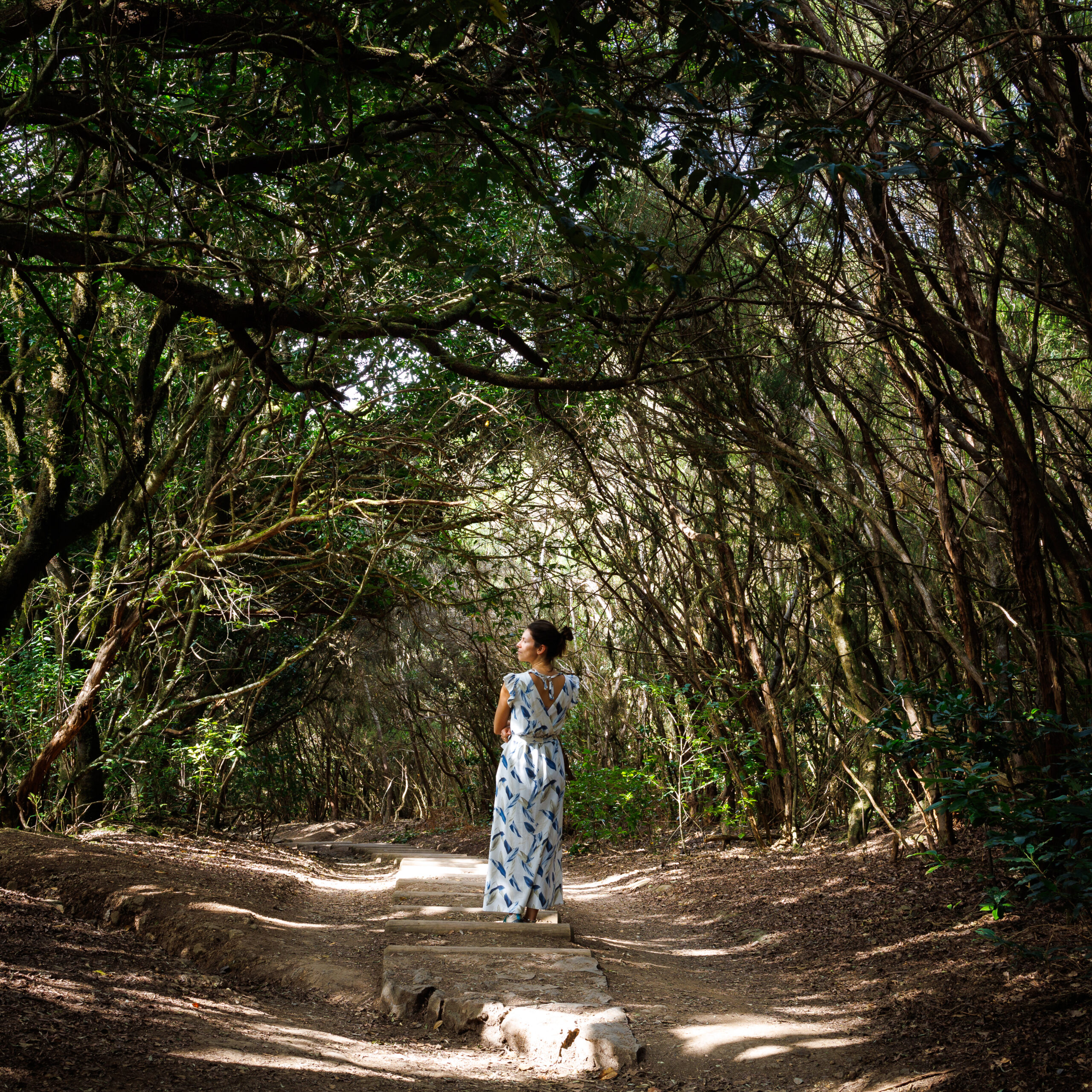 Ewa stoi w sukience w lesie wawrzynowym na Teneryfie - Anaga