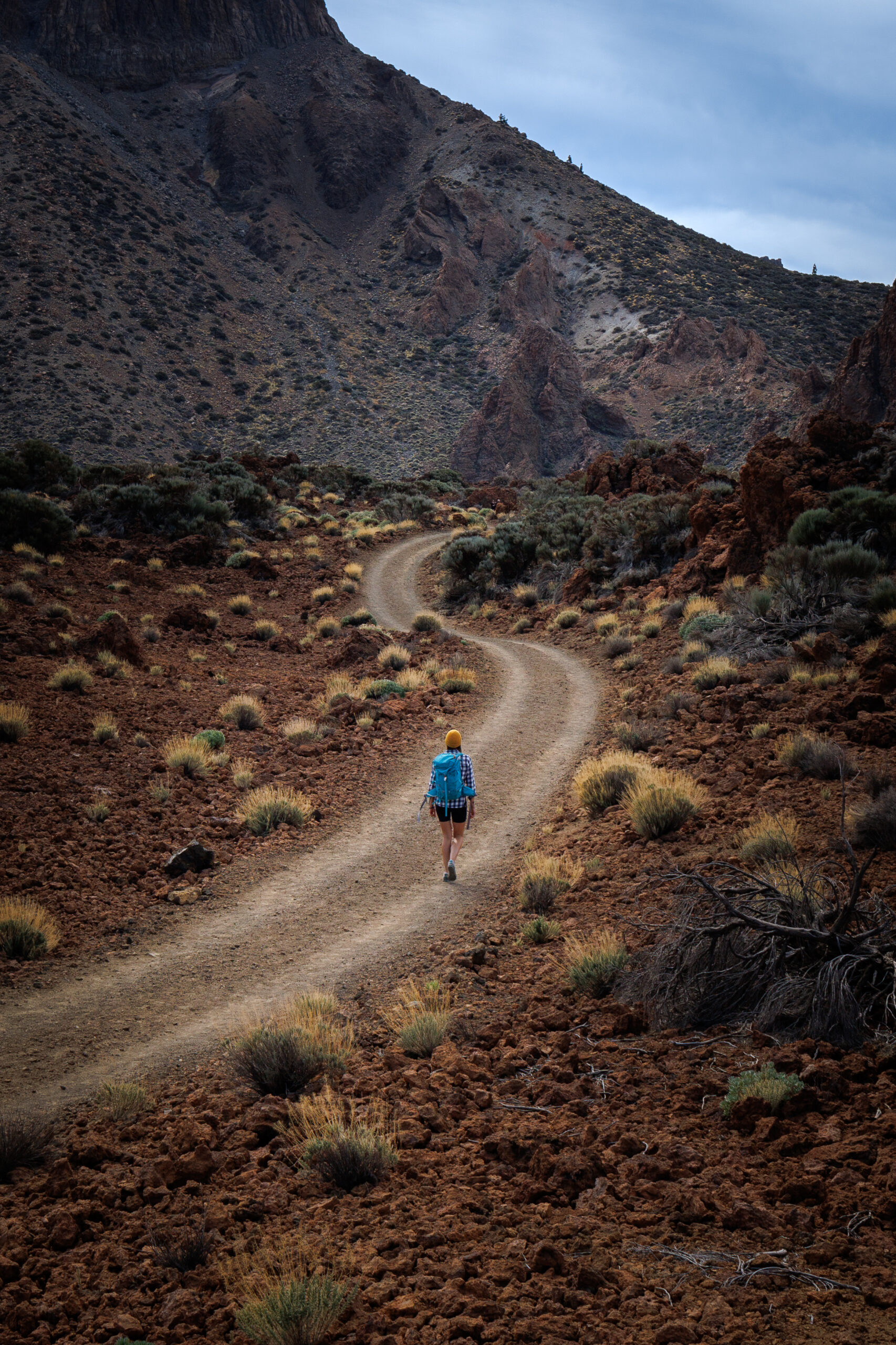 Ewa idzie szlakiem w Parku Narodowym Teide