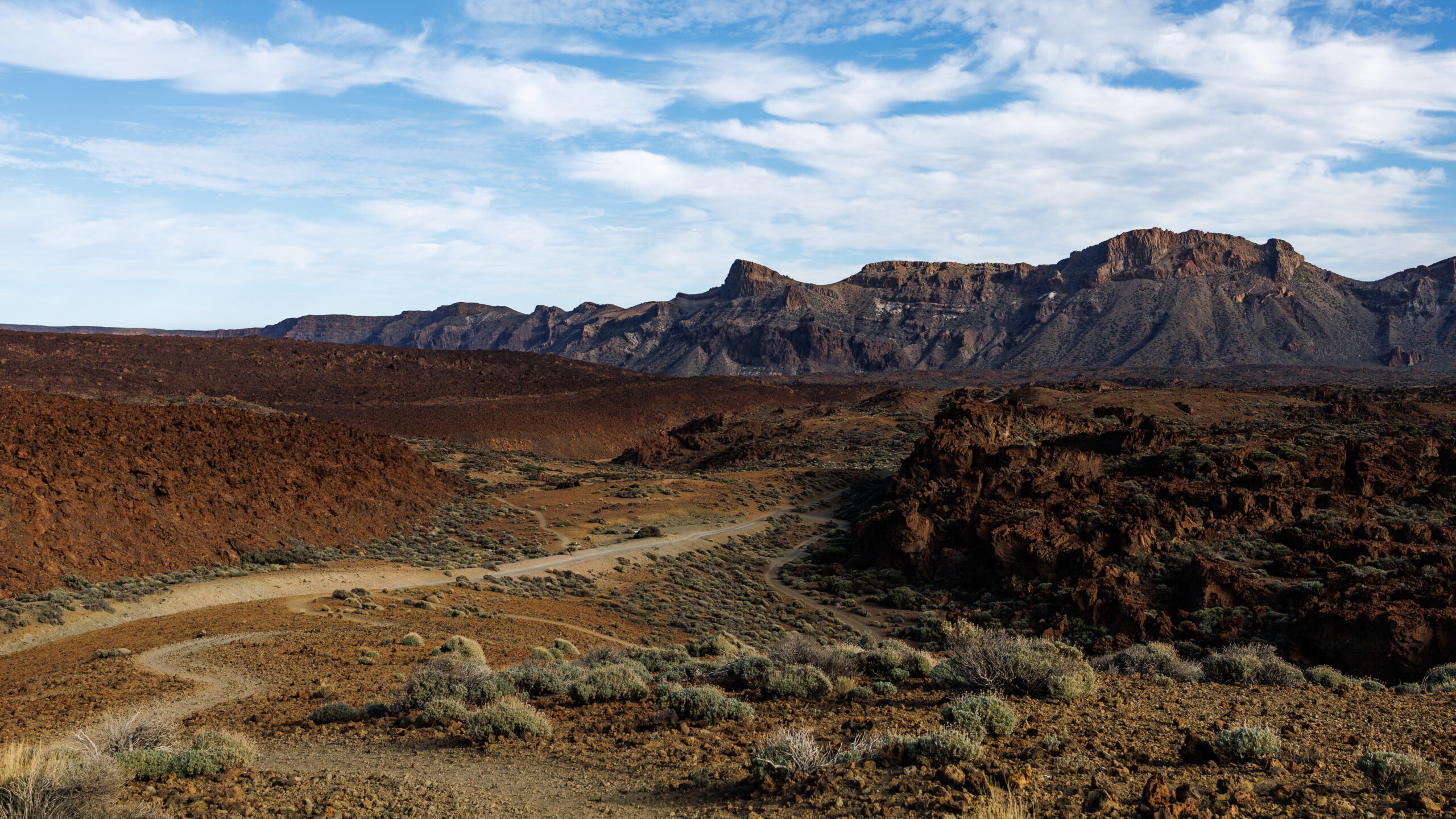 Widok na krajobraz w Parku Narodowym Teide