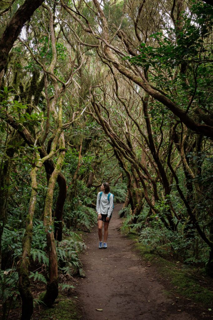 Ewa stoi na szlaku między powykręcanymi gałęziami drzew w Rezerwacie Pijaral (Teneryfa)