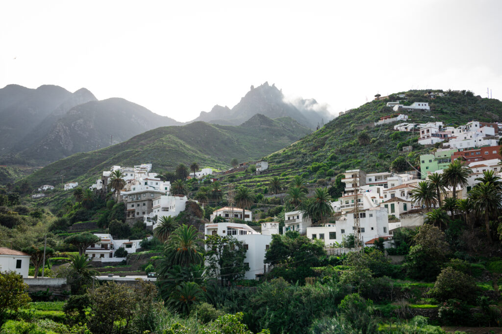 Widok na miasteczko Taganana, na zdjęciu widać białe domki wśród zielonych wzgórz
