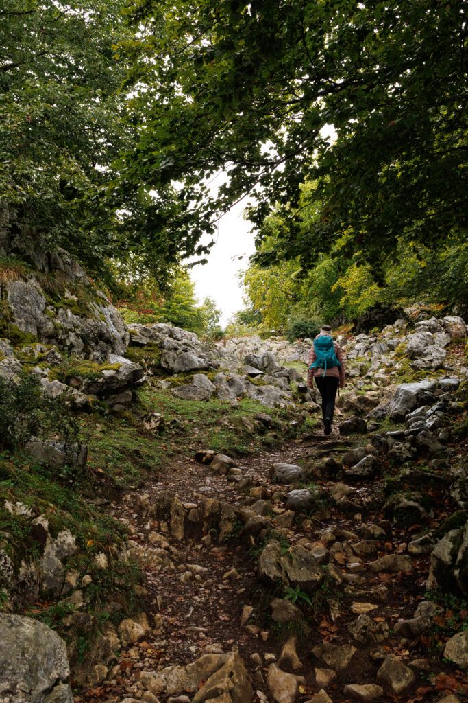 Ewa idzie szlakiem przez las bukowy, który znajduje się na szlaku wokół Jezior Covadonga