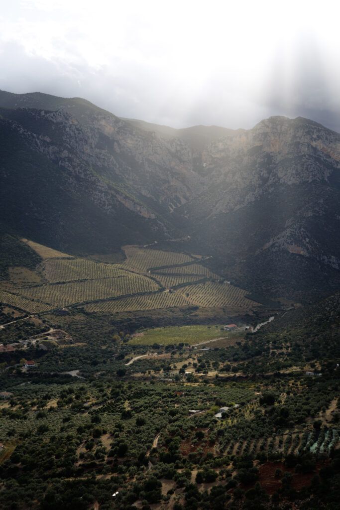 Widok na plantacje uprawne i góry - okolice Leonidio